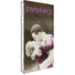 Embrace™ Tension Fabric Display · 5′ wide × 10′ tall